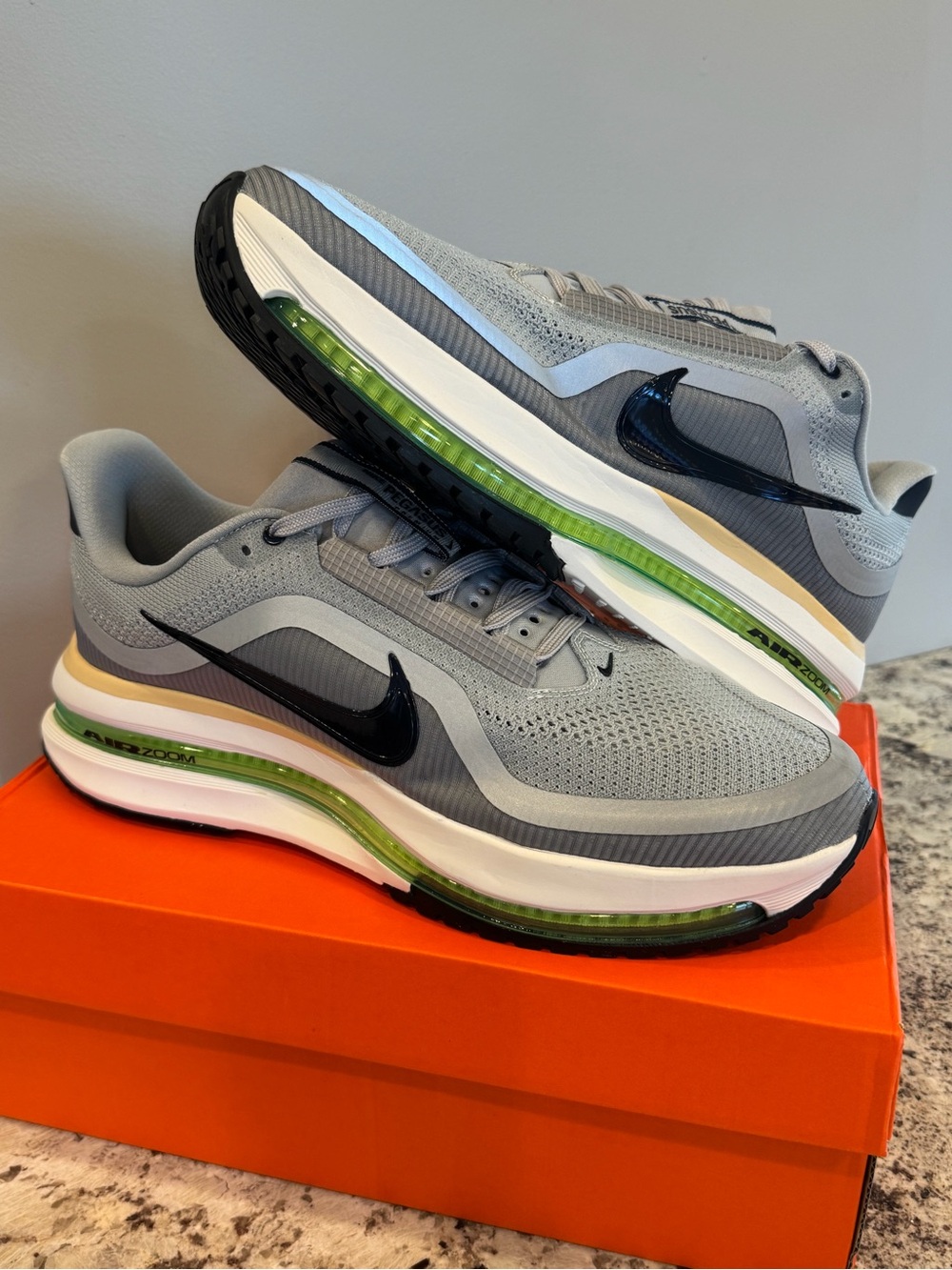 Mens Nike Pegasus Premium